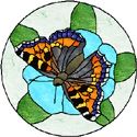 Tortoise Shell Butterfly