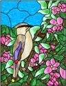 Cedar Waxwing and Apple Blossoms