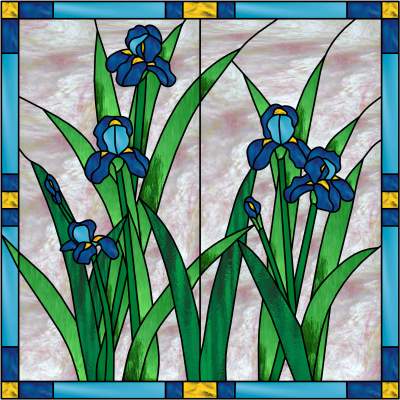 Irises