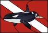 Orca Dive Flag