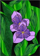 Purple Flower