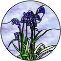 Bluebells