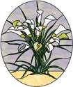 Calla Lilies