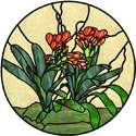 Clivia and Curly Willow