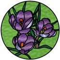 Crocuses