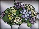 Hydrangeas