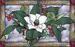 Magnolia