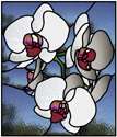 Orchids
