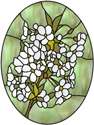 Pear Blossoms