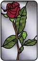 Rosebud