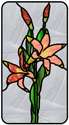 Tiger Lily