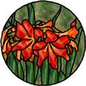 Amaryllis