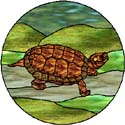 Box Turtle