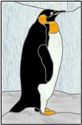 Emperor Penguin