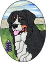 Bernese Mountain Dog