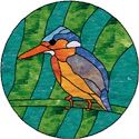 Malachite Kingfisher